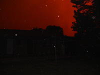 13bonython