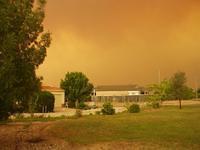Photos from Greenway