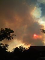 Photos from Holt