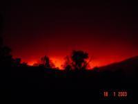 Photos from Royalla