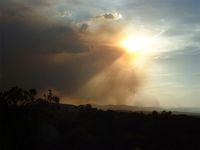 Photos from Farrer Ridge