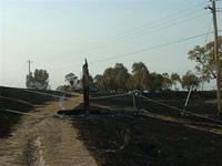 08fire