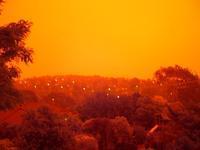 Photos from Gowrie