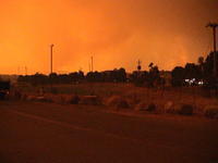 Photos from Bonython