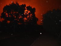 02bonython