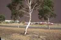 ngunnawal05
