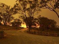 Photos from Burra